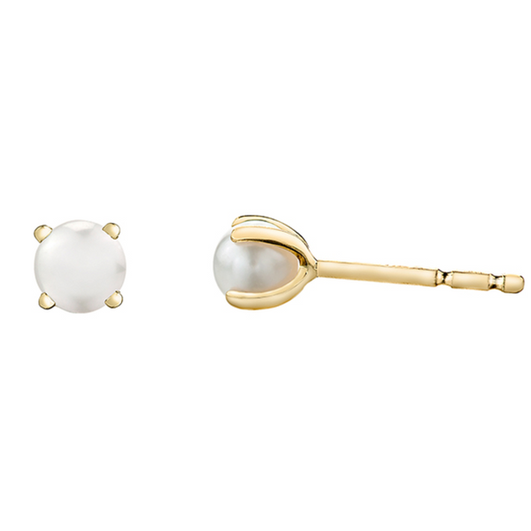 10K Yellow Gold Pearl Studs