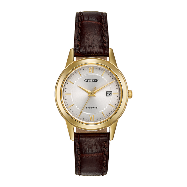 Citizen Corso Eco-Drive Stainless steel Gold Watch with Silver Dial