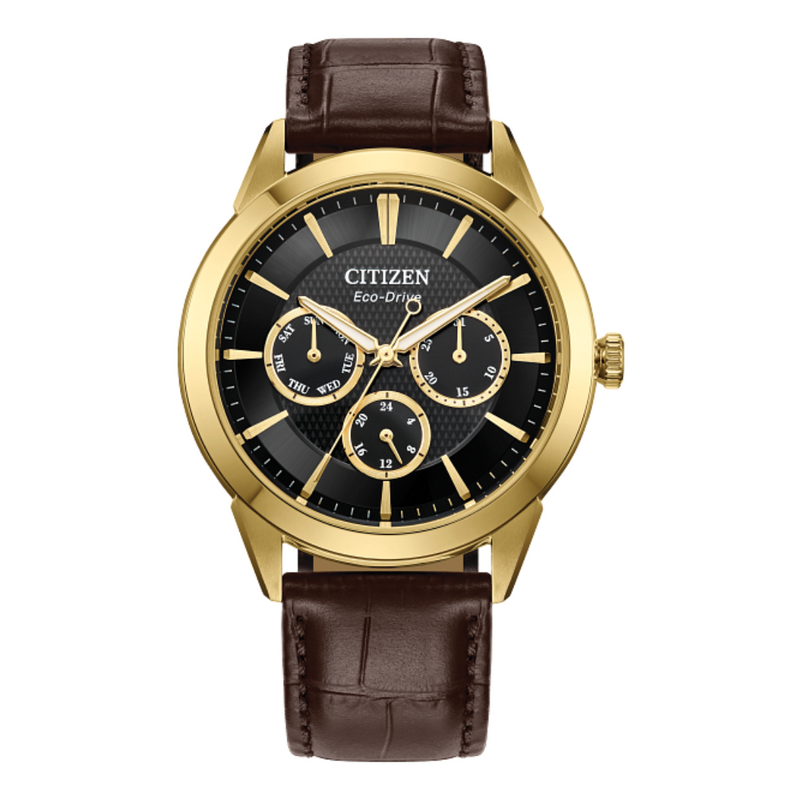 Citizen Eco-Drive Watch with Leather Strap